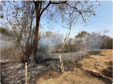 IncÃªndio de grandes proporÃ§Ãµes atinge dois bairros e uma Ãrea de PreservaÃ§Ã£o Permanente, em Dracena