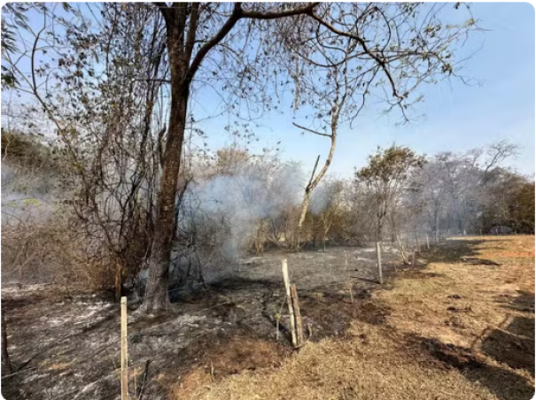 Incêndio de grandes proporções atinge dois bairros e uma Área de Preservação Permanente, em Dracena