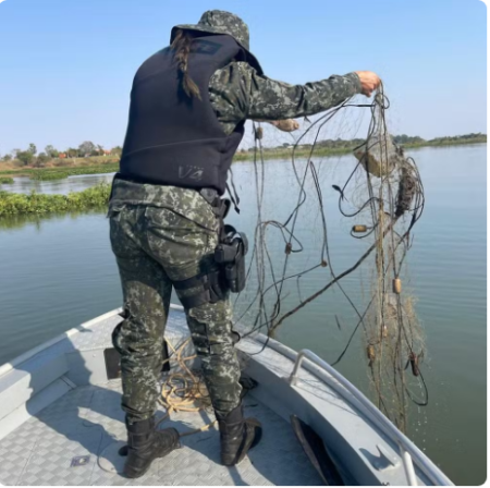 PolÃ­cia Ambiental apreende 700 metros de redes de pesca armadas de forma irregular, em Pres. EpitÃ¡cio 