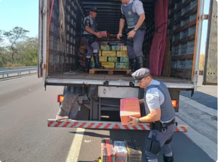 CaminhÃ£o Ã© apreendido com tijolos de maconha em meio Ã  carga de livros no interior de SP 