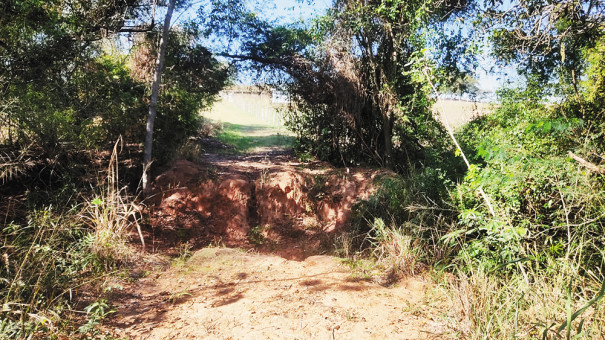 MARIÁPOLIS: Ponte caída há meses gera transtorno e indignação de produtores rurais 