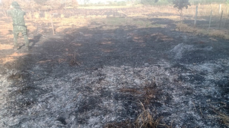 Em FlÃ³rida Paulista sitiante Ã© multado em R$ 1,5 mil por atear fogo em pastagem