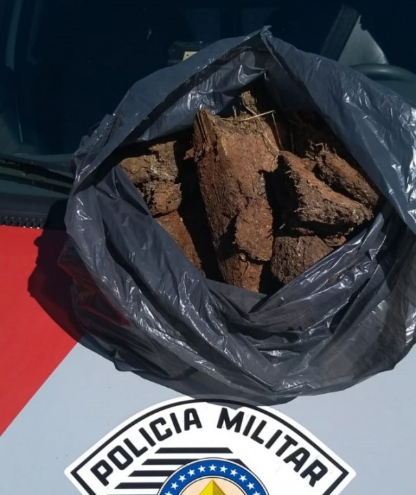 PM de Osvaldo Cruz apreende mais de 8kg de maconha 