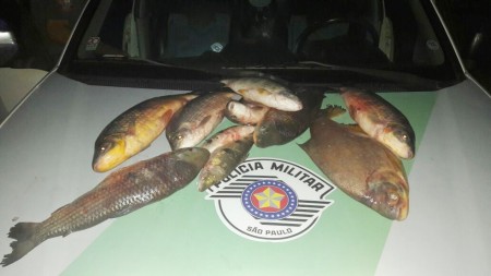 Polícia Ambiental apreende 14 kg de peixes e aplica multa de R$ 980 a pescador em Lucélia