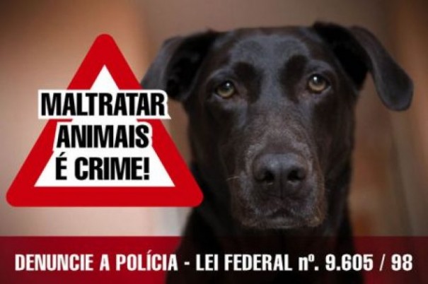 Senado aprova aumento de pena para o crime de maus-tratos a animais