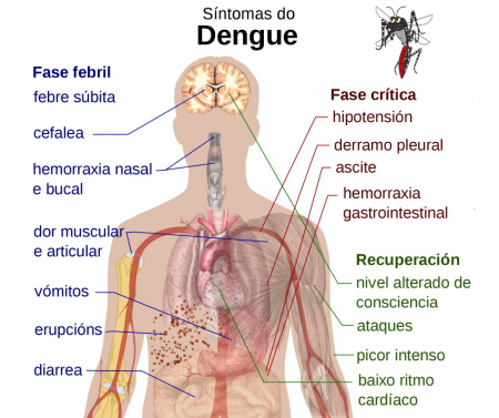 Osvaldo Cruz registra os primeiros casos de suspeita de Dengue em 2018