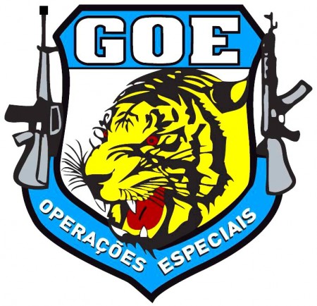 GOE apreende armas de fogo e munições em Parapuã