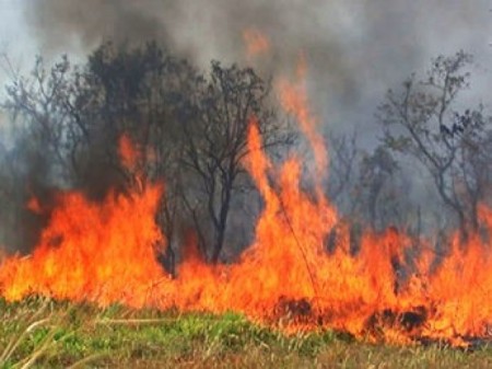 Indivíduos ateiam fogo em propriedade rural em Osvaldo Cruz