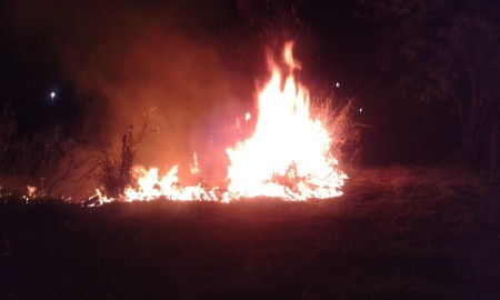 Crime ambiental é registrado em Osvaldo Cruz