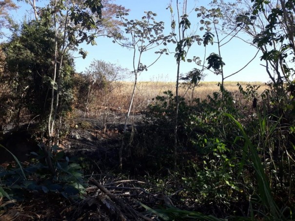 Polcia Ambiental aplica multa de quase R$ 19 mil por danos em vegetao nativa causados por queimada