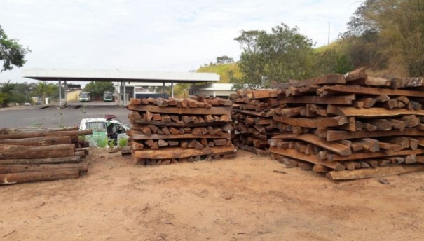 Polcia Ambiental apreende madeira irregular e autua infrator em Osvaldo Cruz