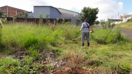 Setor de conservação de Vias Públicas de OC alerta para a limpeza de terrenos