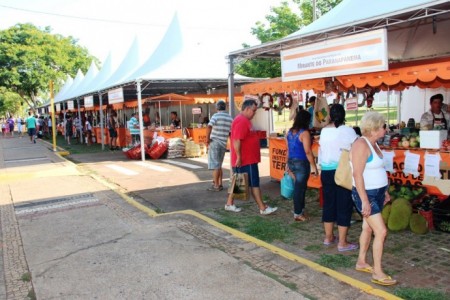 Agricultura familiar é destaque na Feira da Lua e Arte na Praça em Prudente