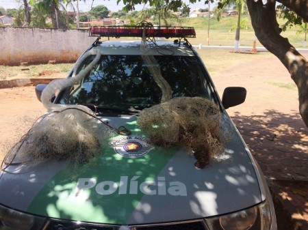 Polícia Ambiental apreende tarrafas usadas irregularmente por pescadores no 'Canal do Inferno'