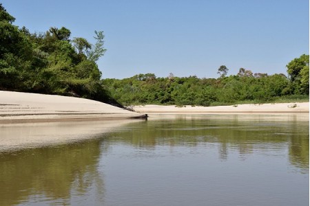 Parque Estadual do Aguapeí abre exposição 'Bicho: Quem te viu, quem te vê' em Nova Independência